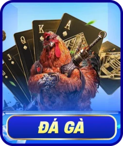 đá gà go8